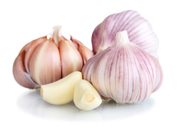 Garlic